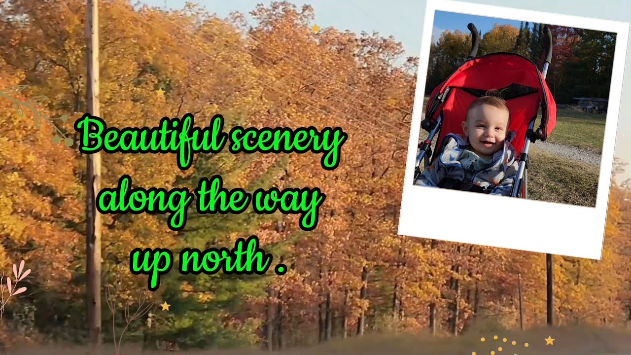 Nature's palette at its finest