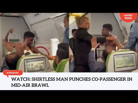 Watch: Shirtless man punches co-passenger in mid-air brawl