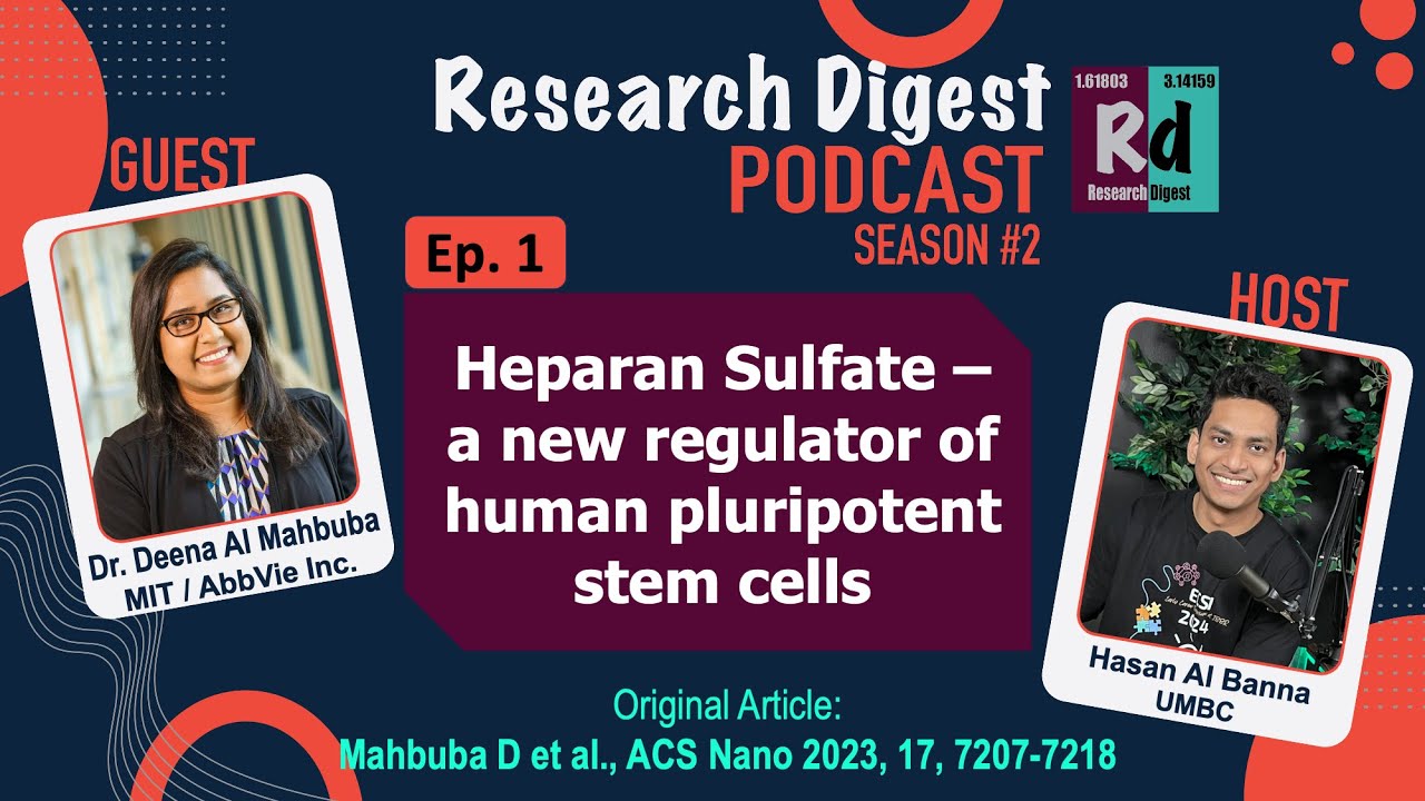Stem Cells, Heparan Sulfate, Glycan Structure | Research Digest with Dr. Deena Al Mahbuba | S2E1