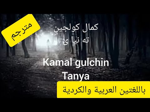 كوردي حزين كمال كولجين ته نياى مترجم    