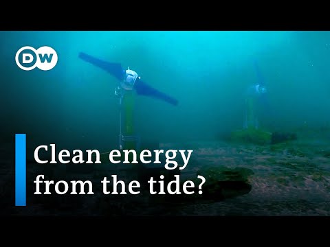 Shetland Islands: Tidal energy instead of oil and gas? | Focus on Europe - Shetland Islands: Tidal energy instead of oil and gas? | Focus on Europe