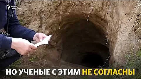 Зоологи засняли полосатую гиену