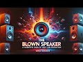 The Blown Speaker  A Scientific Saga of Heat, Motion, and Destruction