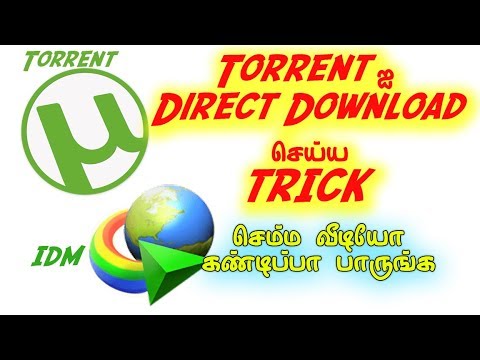 direct download torrent