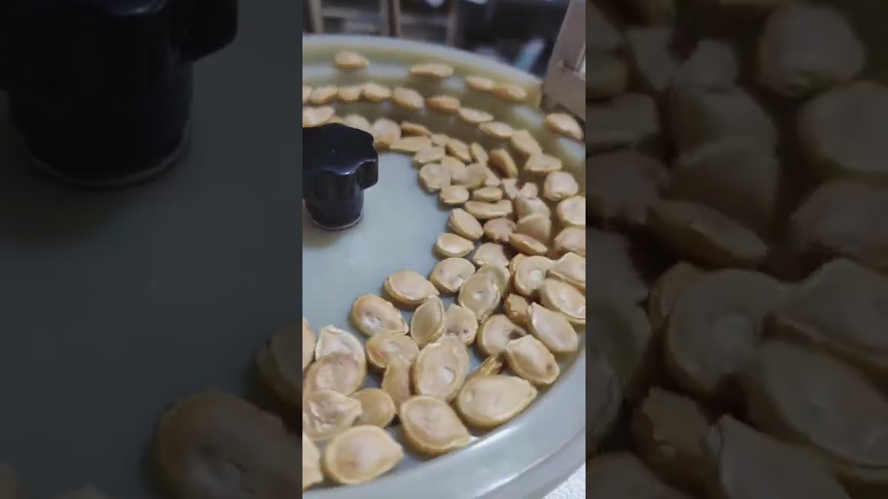 Pumpkin seeds counter automatic seeds counting machine filling packaging cups paper packages