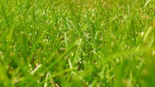Grass clipping shears - Sound effects screenshot 5