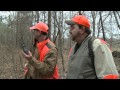 Using GPS Collars on Beagles During the Hunt