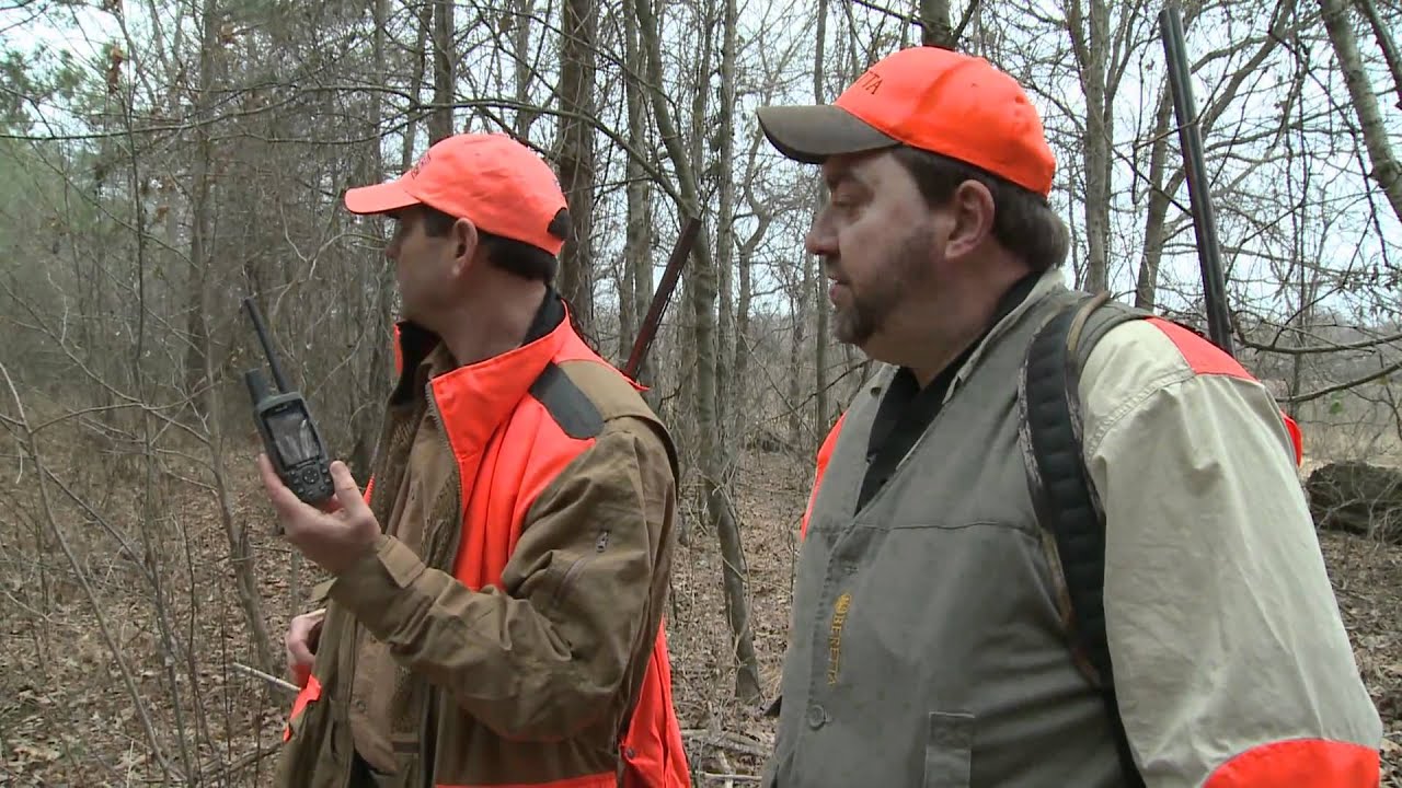 tracking collars for beagles