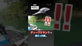 ディープクランク使用中に起こった事…  OSP ブリッツMAX DR  ディープクランク『バス釣り』