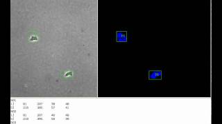 screencast of ctrack (cell tracker) in action Profile