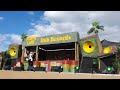 Greensleeves & Iration Steppas @ Reggae Land 2025 2/8/25 PT2