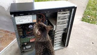 Saving a PC from Trash | Pentium Dual Core E2140