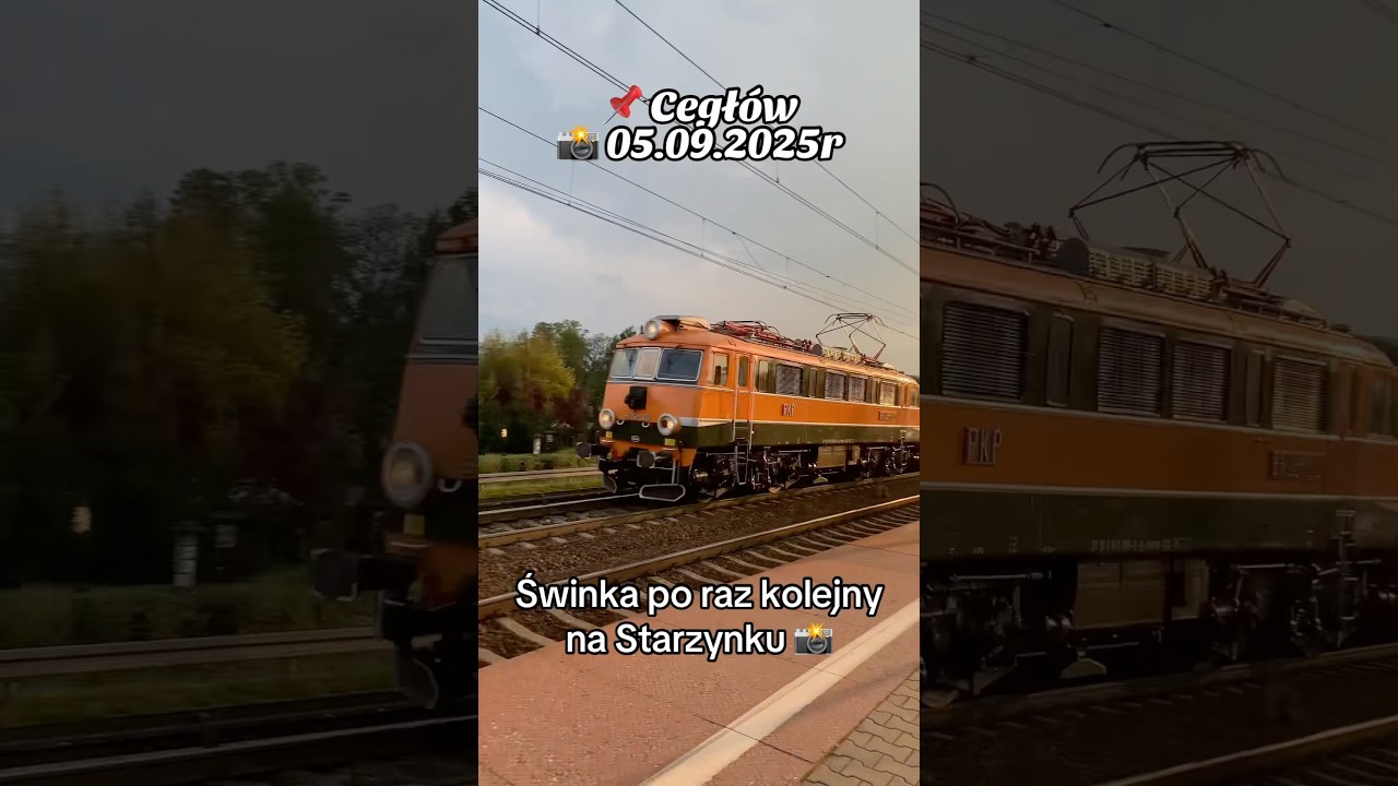 całkiem częsty bywalec u mnie