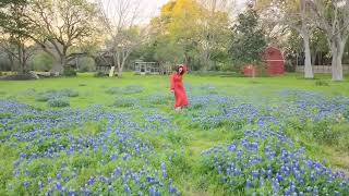  Bluebonnet - Yost Blvd Pearland - Texas 03/2026 