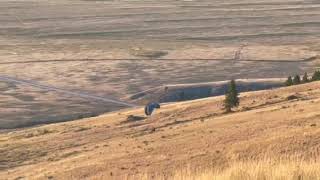 Video of Curtis Canyon Campground, WY from Dan S.