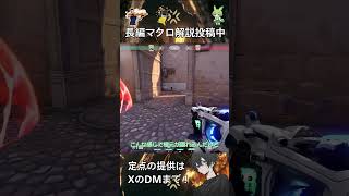 【再掲】【アセント】【サイファー】A守りで使える壊されないワイヤー！！#valorant #vct #ヴァロラント #ずんだもん #vtuber