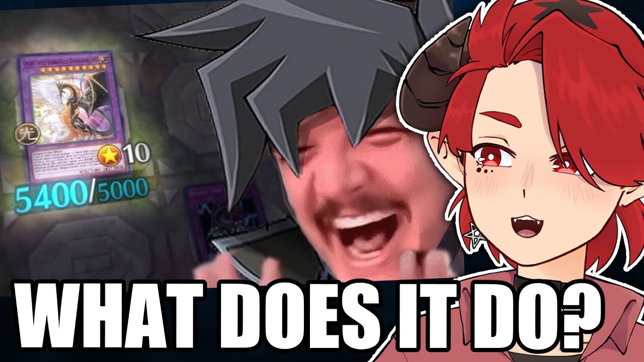 LIGHT AND DARKNESS DRAGON 2025. EXPERIENCE (REACTION)