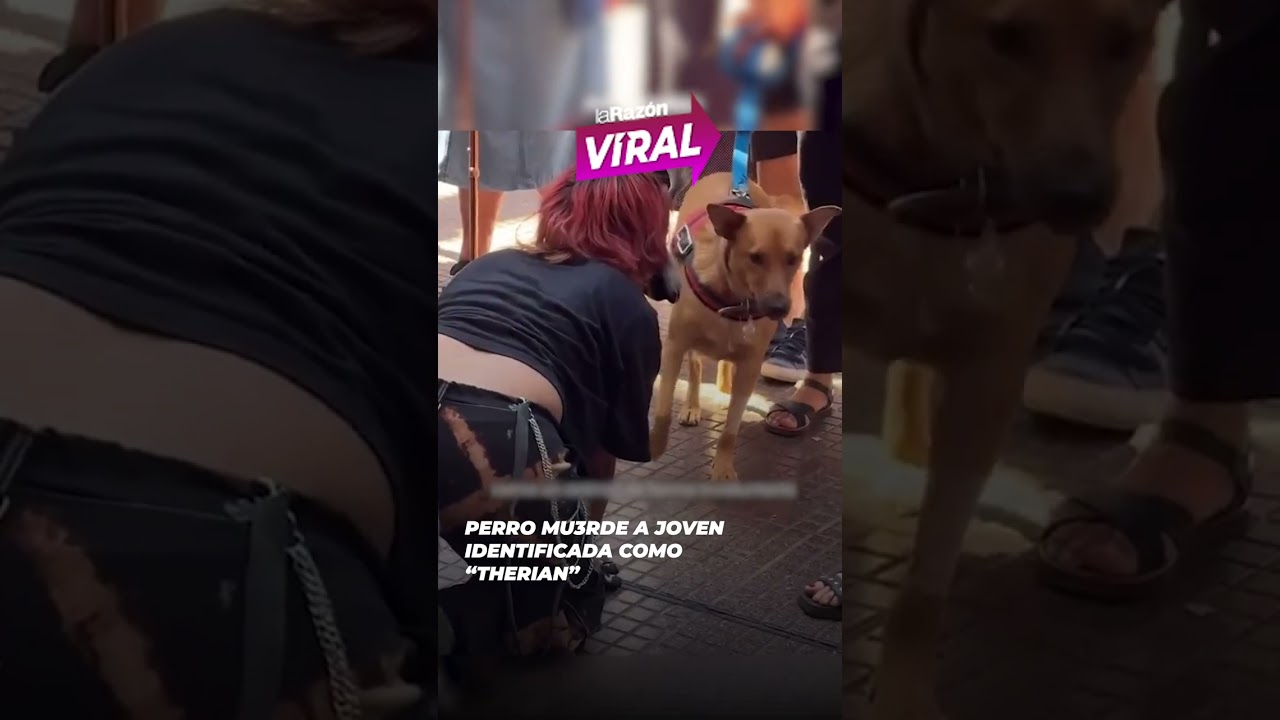 Perro muerde a joven identificada como therian y el video genera polémica 🐕