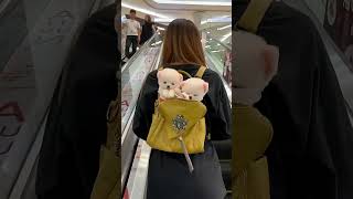 new All My Pets, One Big Hug#Caught with a Handful of Happiness#Fluffy Squad Goals part 4