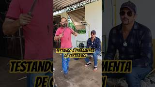 Testando a ferramenta de castra boi #tempora #castradodeboi #masarico #lfmazim #ferramenta