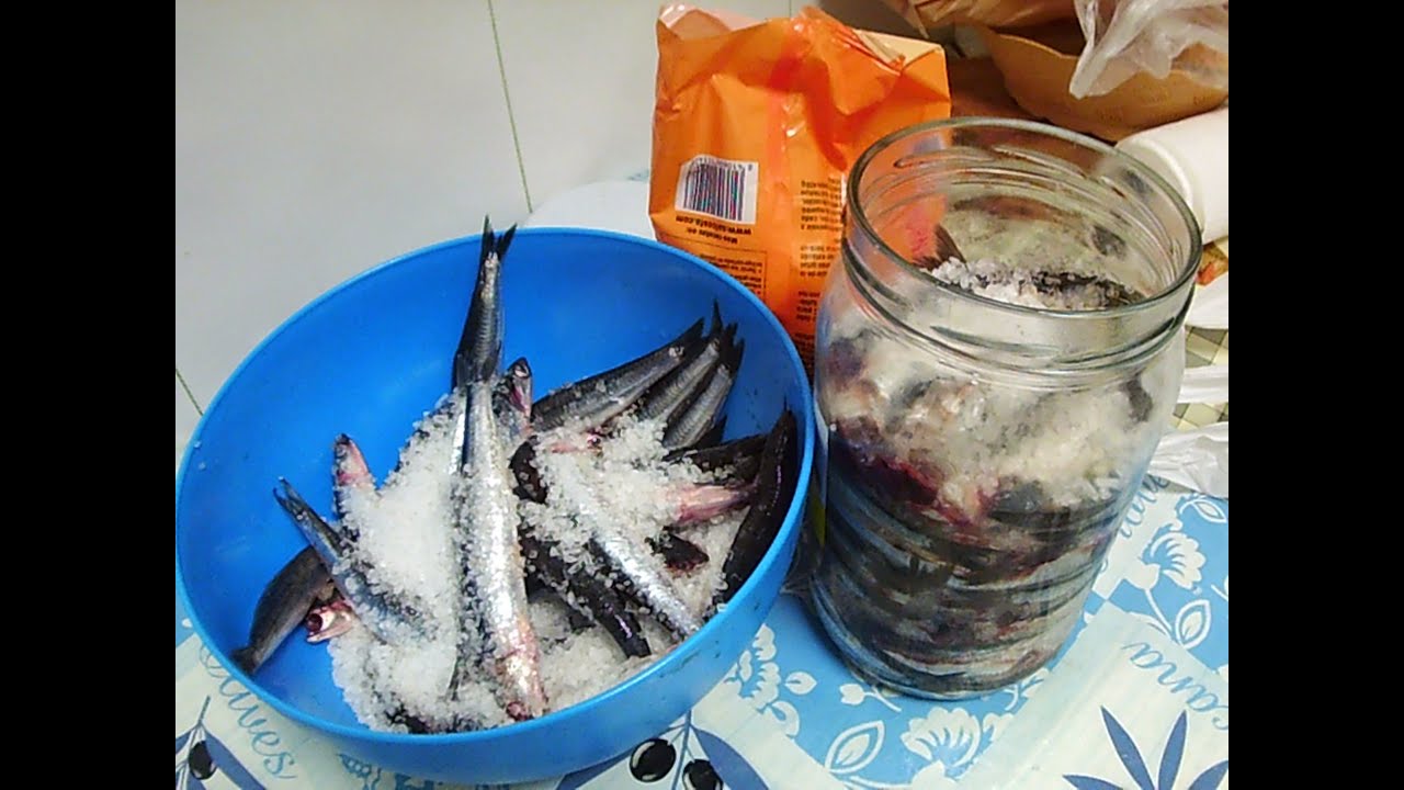 Hacer anchoa en salazón, alternativa para conservar anchoa todo el año