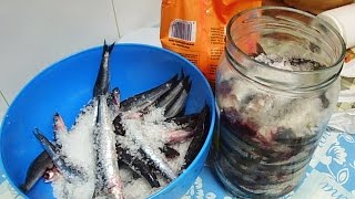como hacer anchoas  en  salazon  caseras