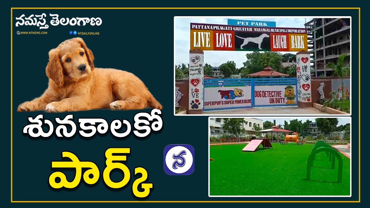 Park For Pet Dogs At Hanumakonda Warangal Namasthe Telangana YouTube