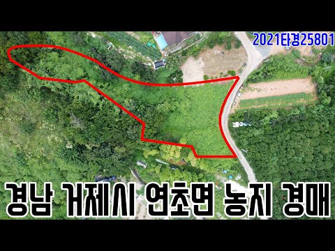 [요약영상] 경남 거제시 연초면 농지 경매 2021타경25801 거제부동산경매매물 [보이는부동산-경매공매분석]