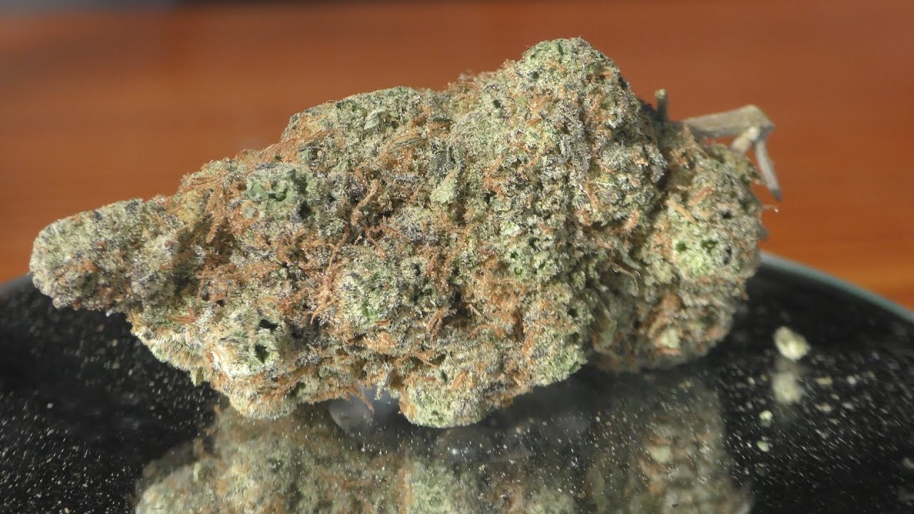 NYC Diesel Marijuana Monday