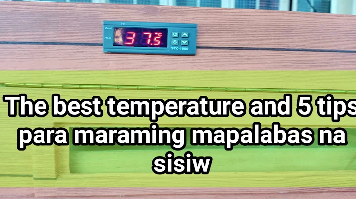 What is the best temperature for egg incubator at 5 tips para maraming mapisang itlog