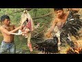 Find Food regrettably in the jungle - Cooking duck Eating delicious | Adventure In Forest