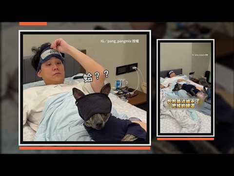 狗狗和爸戴眼罩睡超爽 聽媽呼喚同步被叫醒XD
