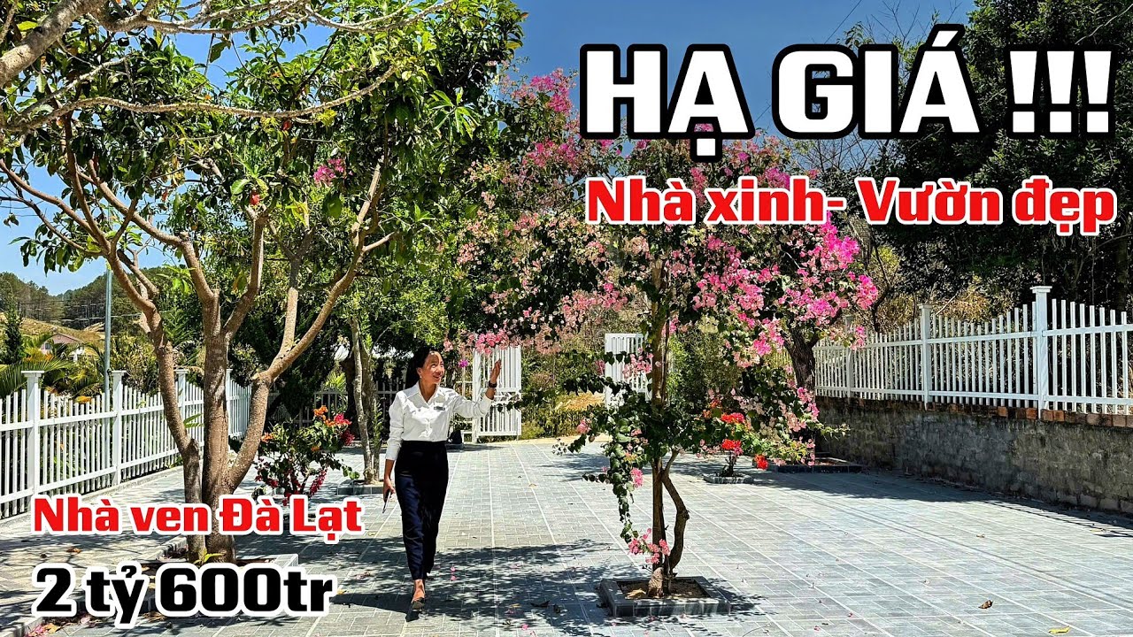 Ngày 24/2/2026| HẠ GIÁ mong bán sớm. NHÀ XINH- VƯỜN ĐẸP nghỉ dưỡng ven Đà Lạt