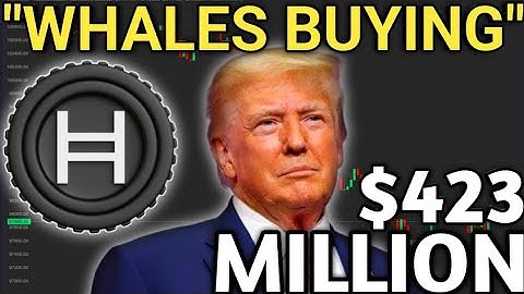 HBAR Whales Just Bought $423 Million While Price Crashed | What They Know That You Don