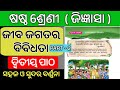 📚 ଜୀବ ଜଗତର ବିବିଧତା | ଶ୍ରେଣୀ ଷଷ୍ଠ ବିଜ୍ଞାନ | Class 6 Science Chapter Explanation in Odia | PART - 2 