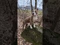 #Brut 🤔