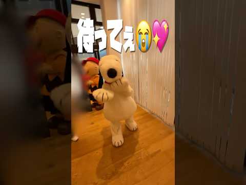 スヌーピーとチャーリーに76周年のお祝い伝えてきた✌🏻💖