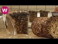 Schwarzbrot im Weckglas - mit Hefe, Buttermilch und Zuckerrübensirup