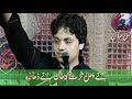 Zakir Shawal Haider Naqvi 2019 Shia Whatsapp status Whatsapp Status Video Download Free