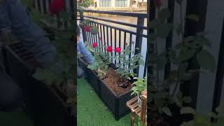 Incredible Products Tiktok Video Vaso Di Fiori