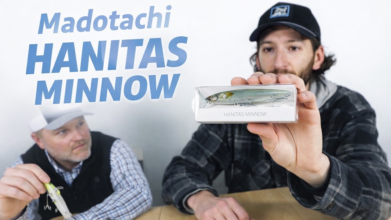 NEW to Omnia! | Madotachi Hanitas Minnow