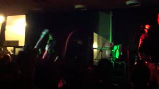 Paddy and the Rats - Auld Lang Syne