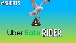 Seagull Poos on Uber Eats Rider #Shorts