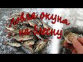 Крупный окунь. Ловля окуня на блесну. Отлично отловился!