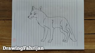 How To Draw Fox