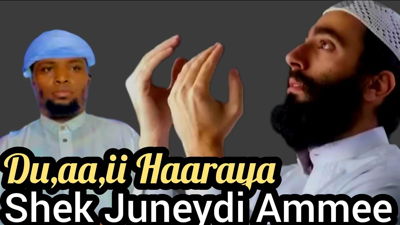#new  Du,aa,ii fi Zikrii Shek Juneydi Ammee Haaraya 20 February 2026
