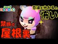 【あつ森】絶対に屋根裏部屋に入ってはいけない【意味が分かると怖い話】【あつまれ どうぶつの森】