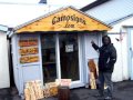 Campsigns .MOV Campsigns .MOV