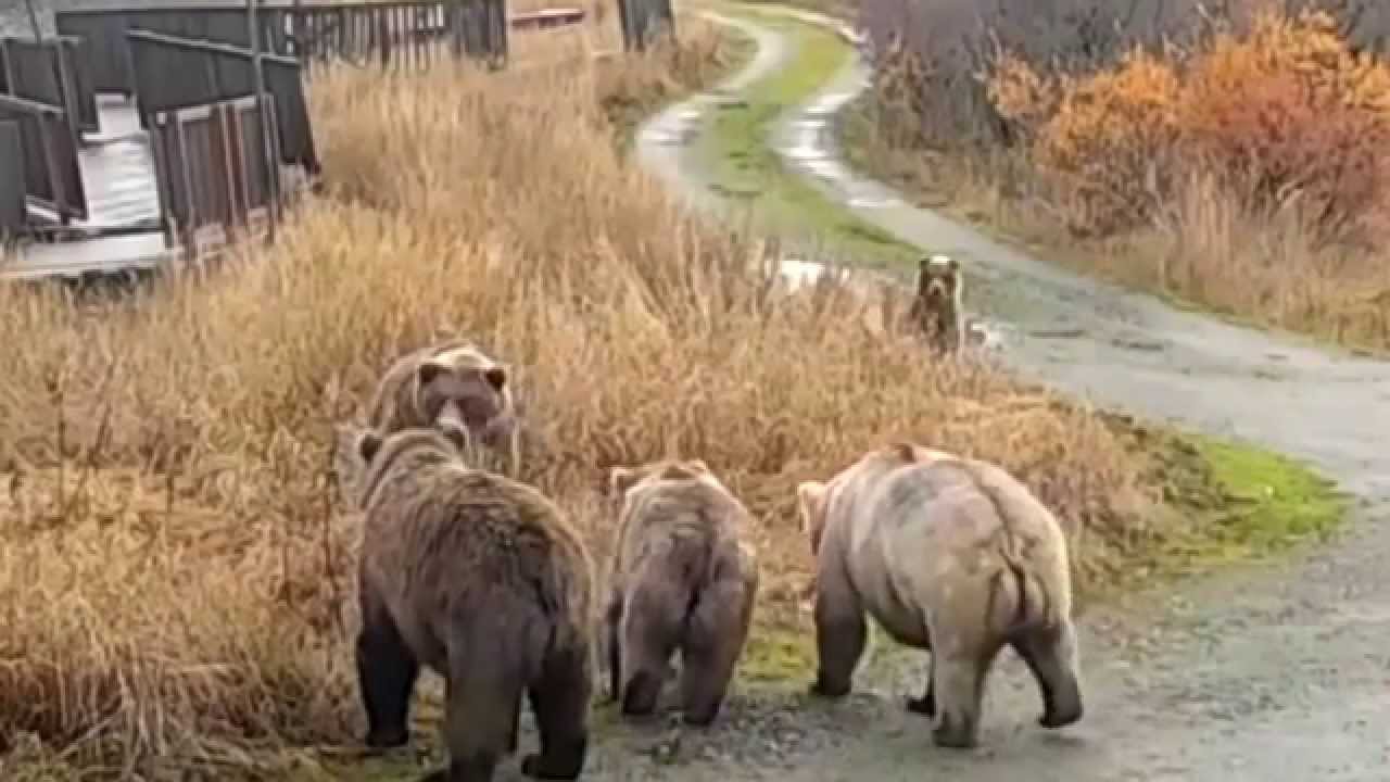 273 & Velcro meet Holly & Family