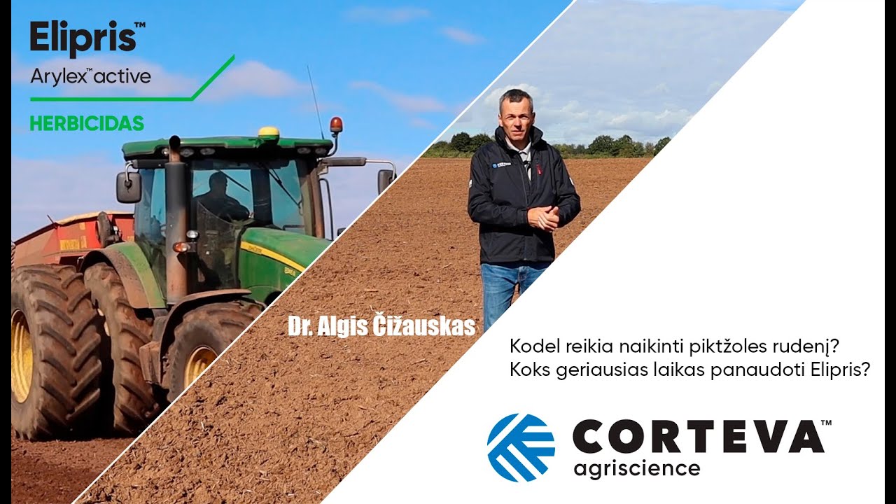 Kodel reikia naikinti piktžoles rudenį? (Koks geriausias laikas panaudoti Elipris?)